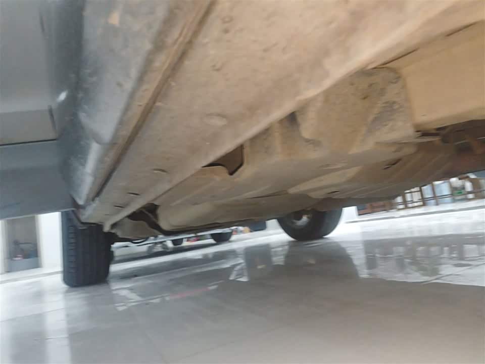 Leopaard Cheetah CS10