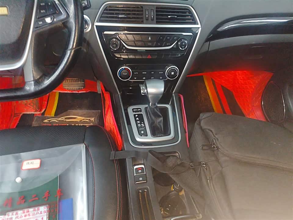 Leopaard Cheetah CS10