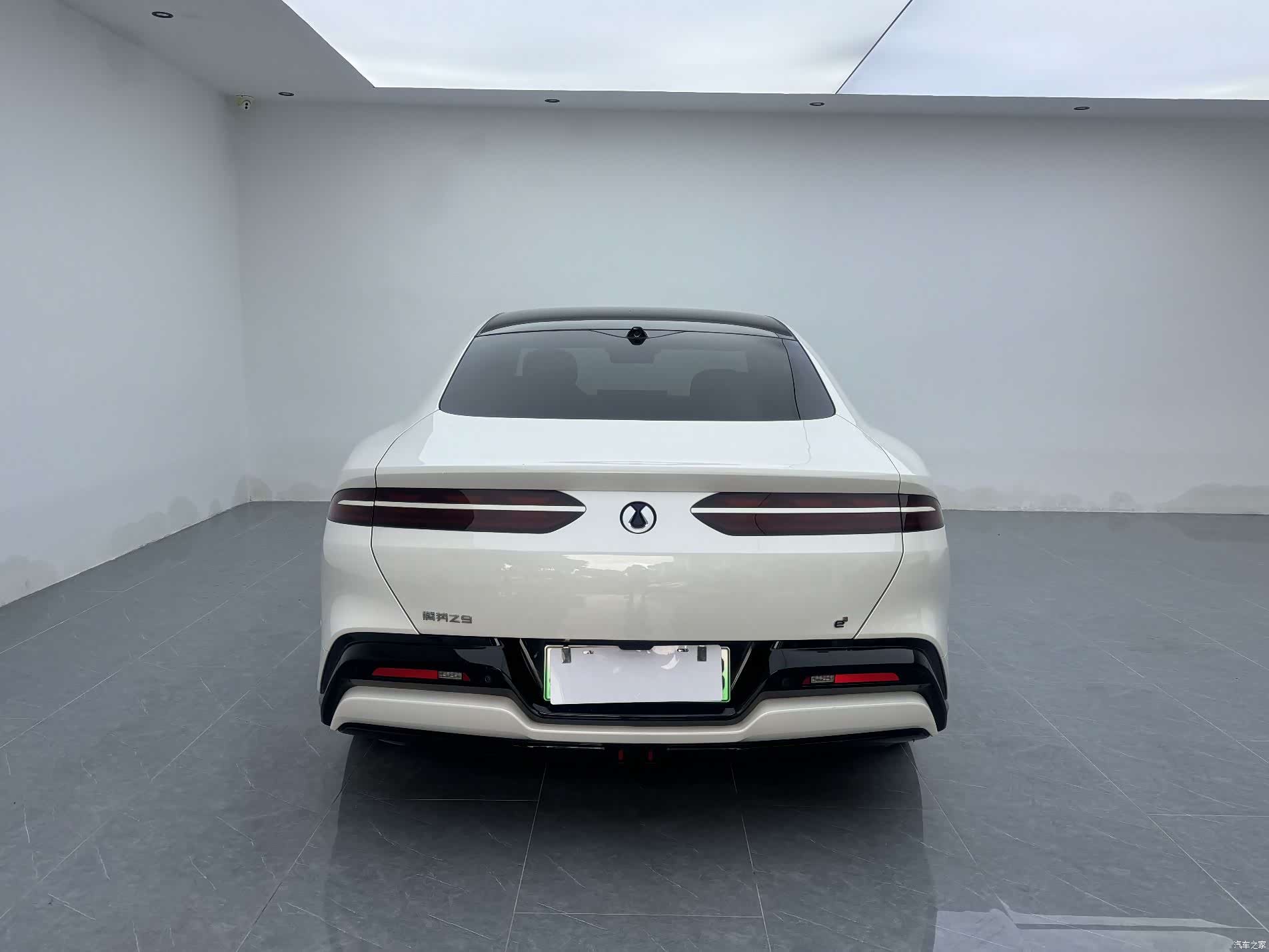 Denza Z9, 2024 10