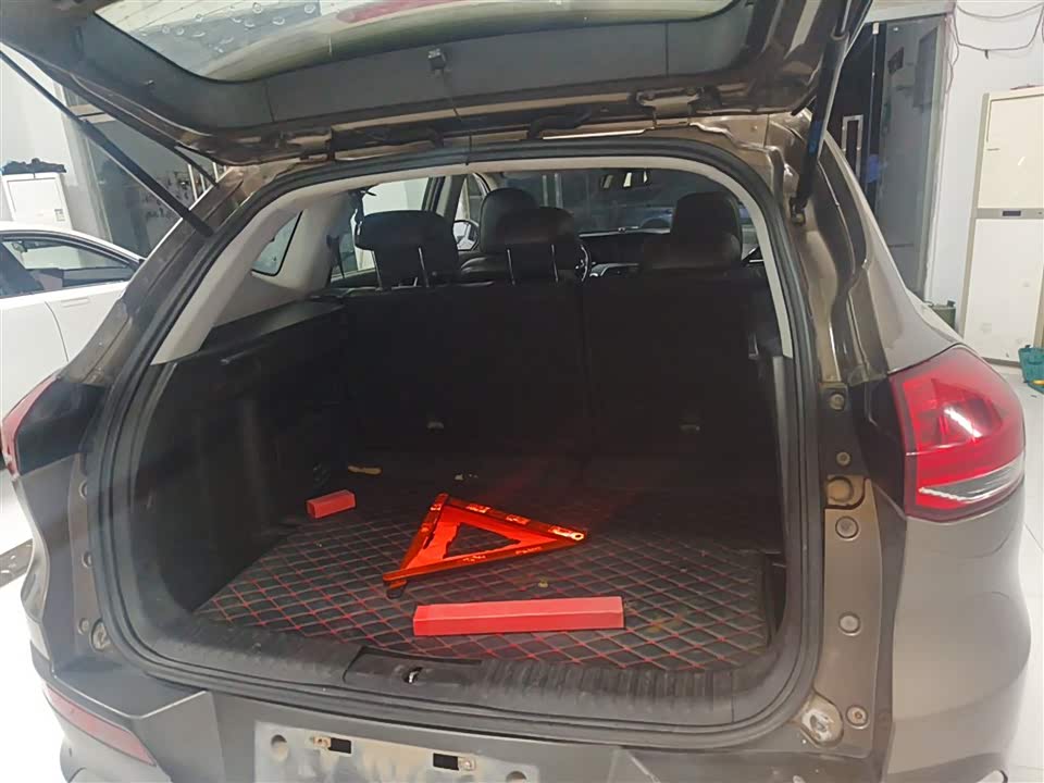 Leopaard Cheetah CS10