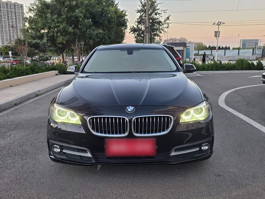 BMW 5 Series 2016, фото 22