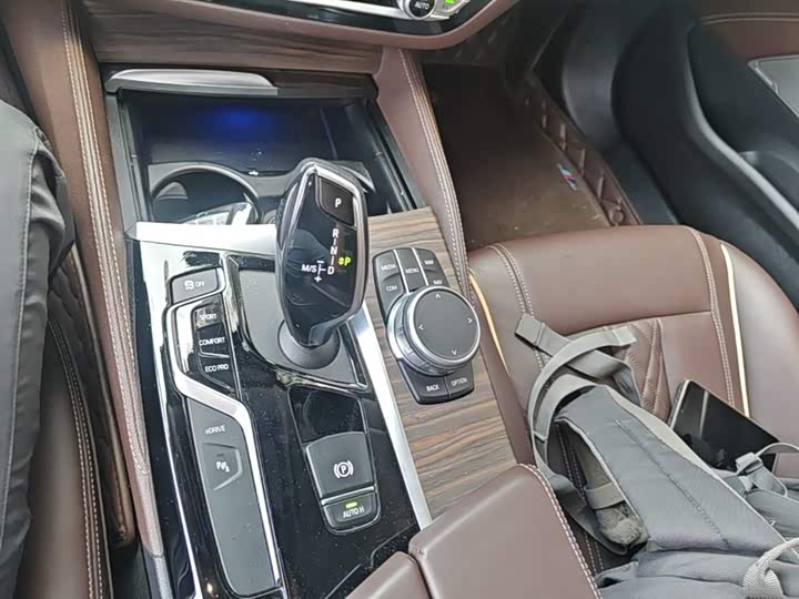 BMW 5 Series xin neng yuan 2020 530Le hao hua tao zhuang
