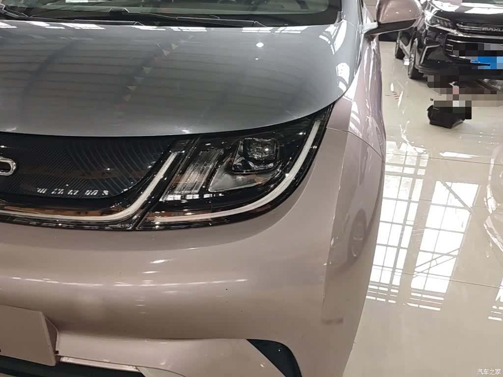 BYD Dolphin, 2022 24