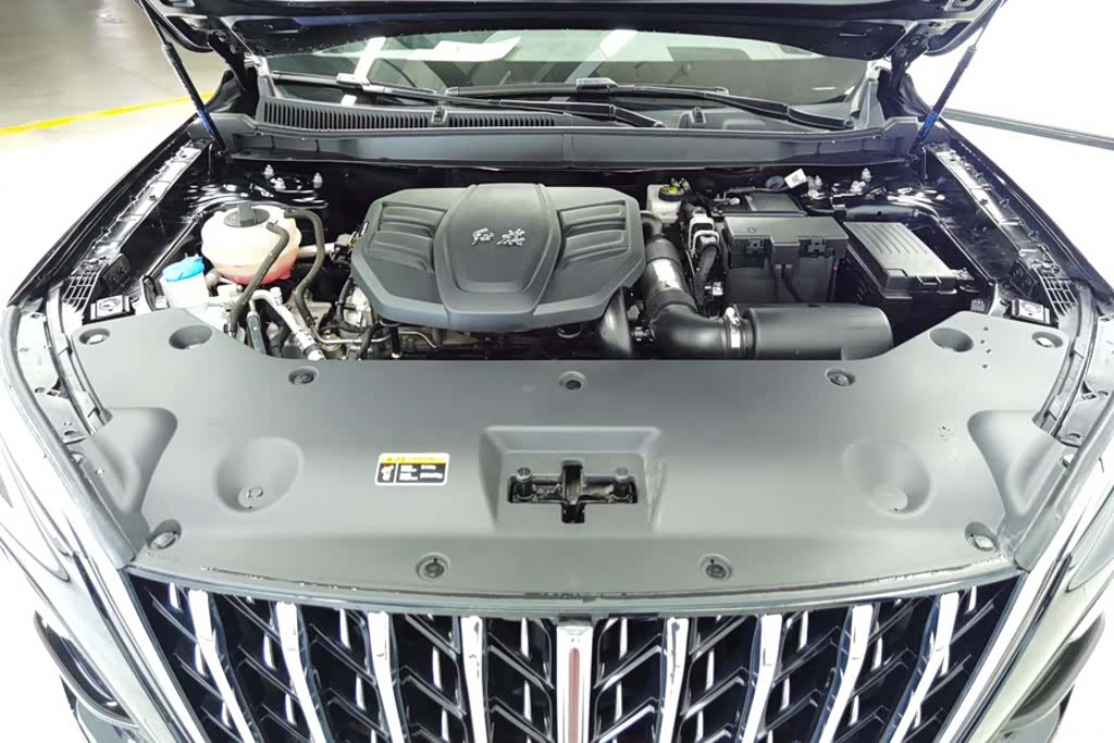 Hongqi HS5, 2023 10