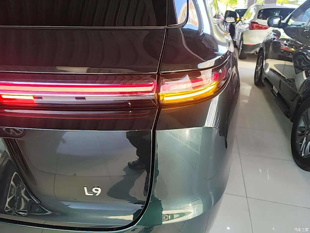 Li Auto L9, 2023 8