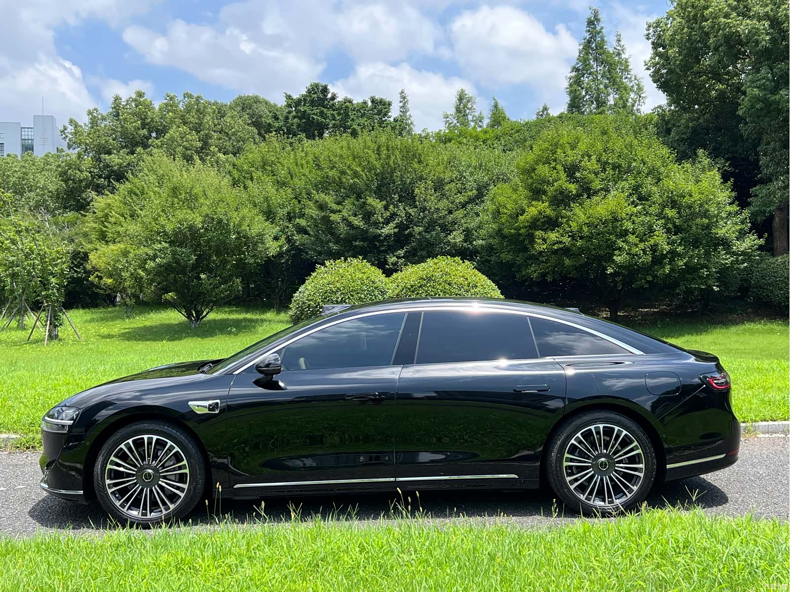 Stelato S9, 2025 4
