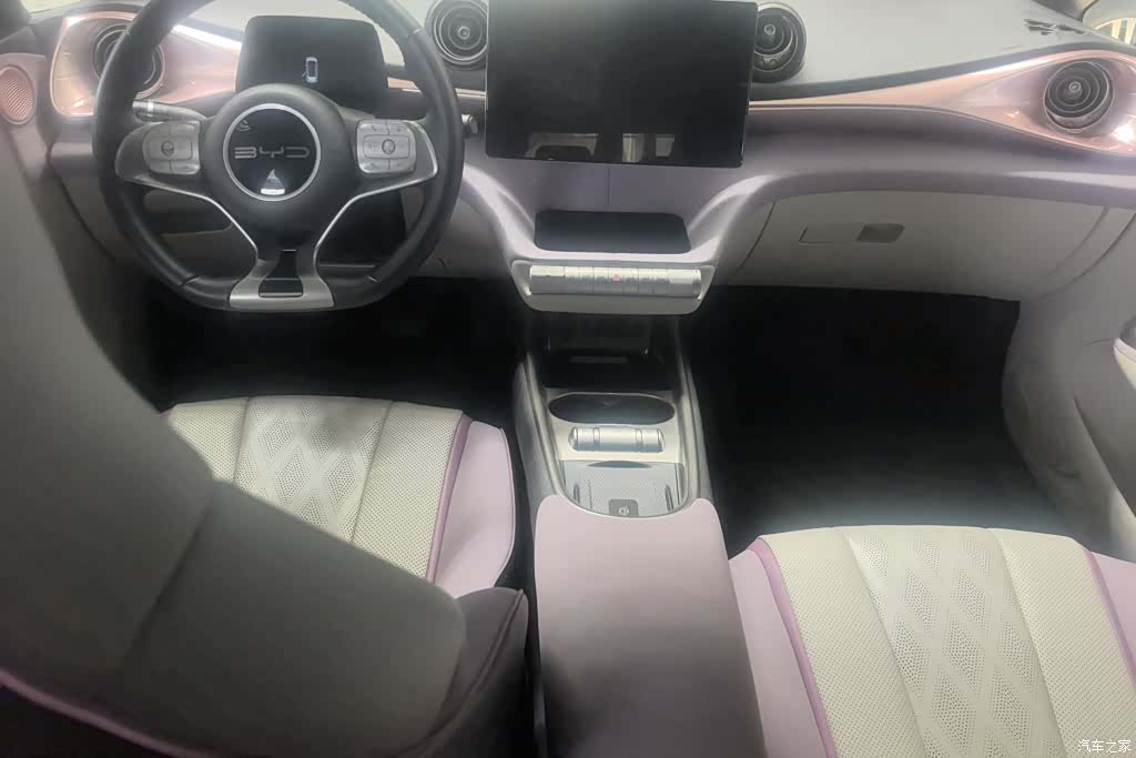 BYD Dolphin, 2024 13