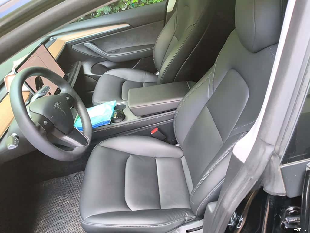 Tesla Model 3, 2021 12