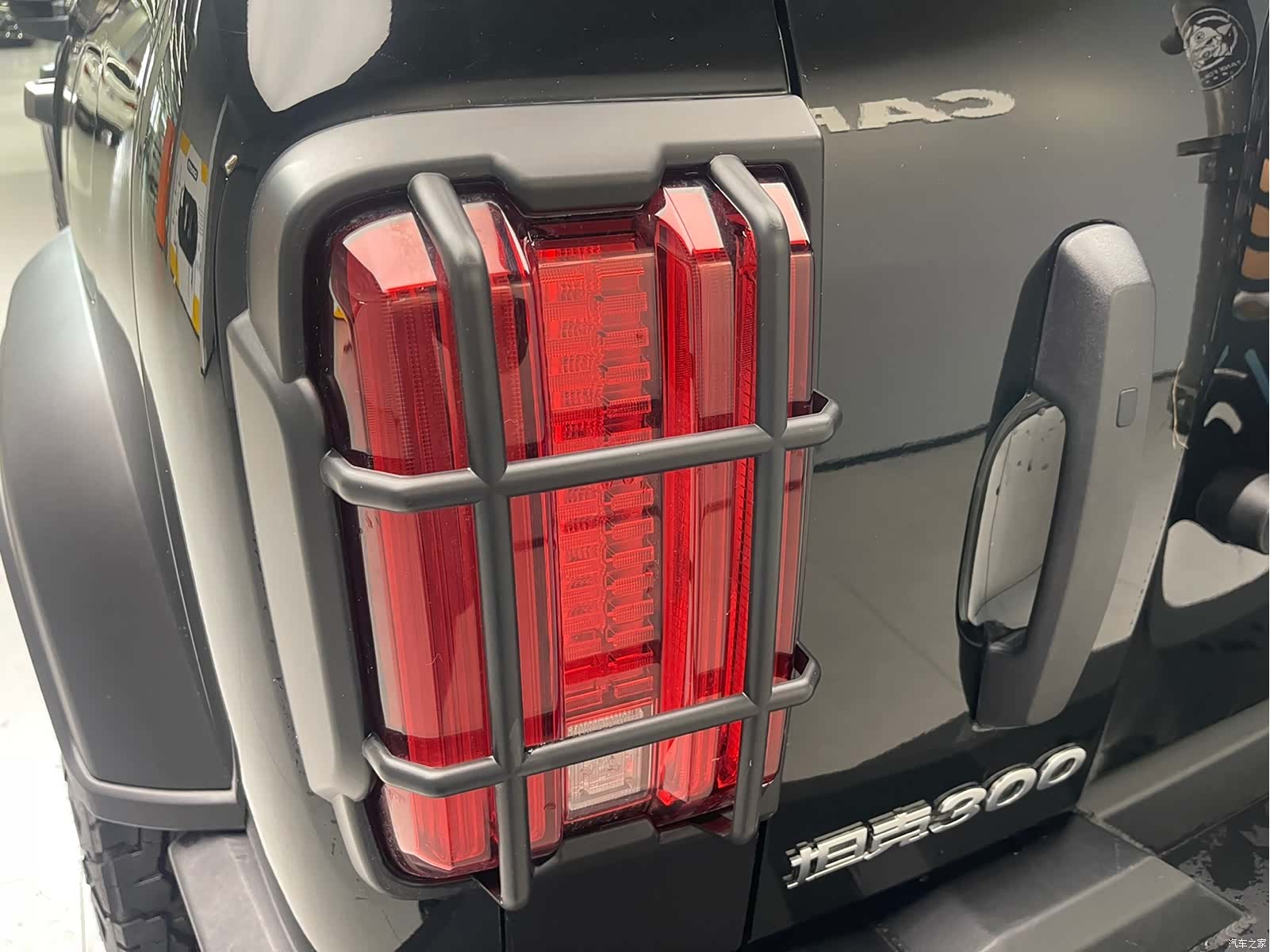 Tank 300, 2024 25