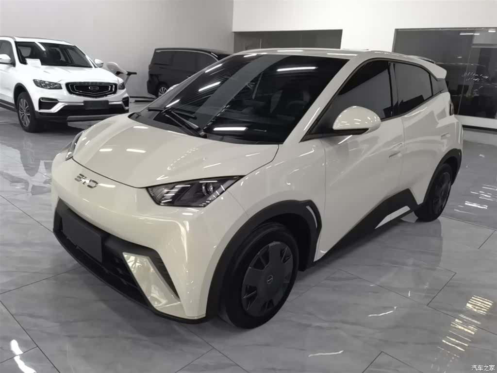 BYD Seagull, 2024 2