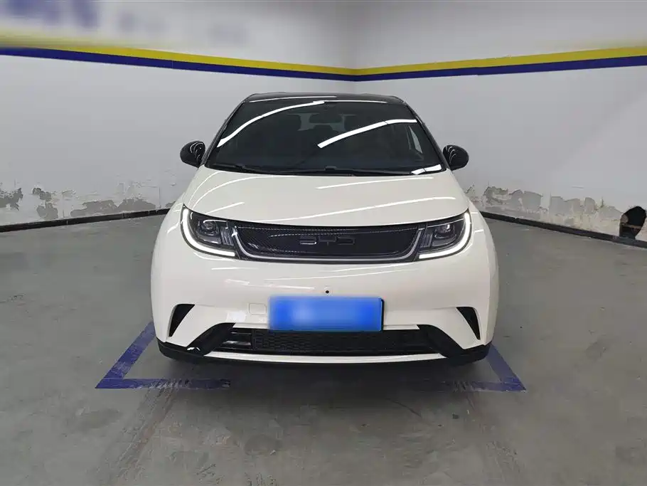 BYD dolphin