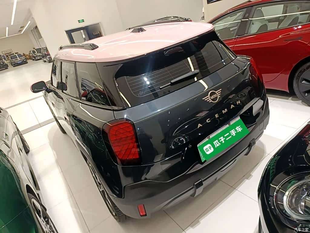Mini ACEMAN, 2024 все фото