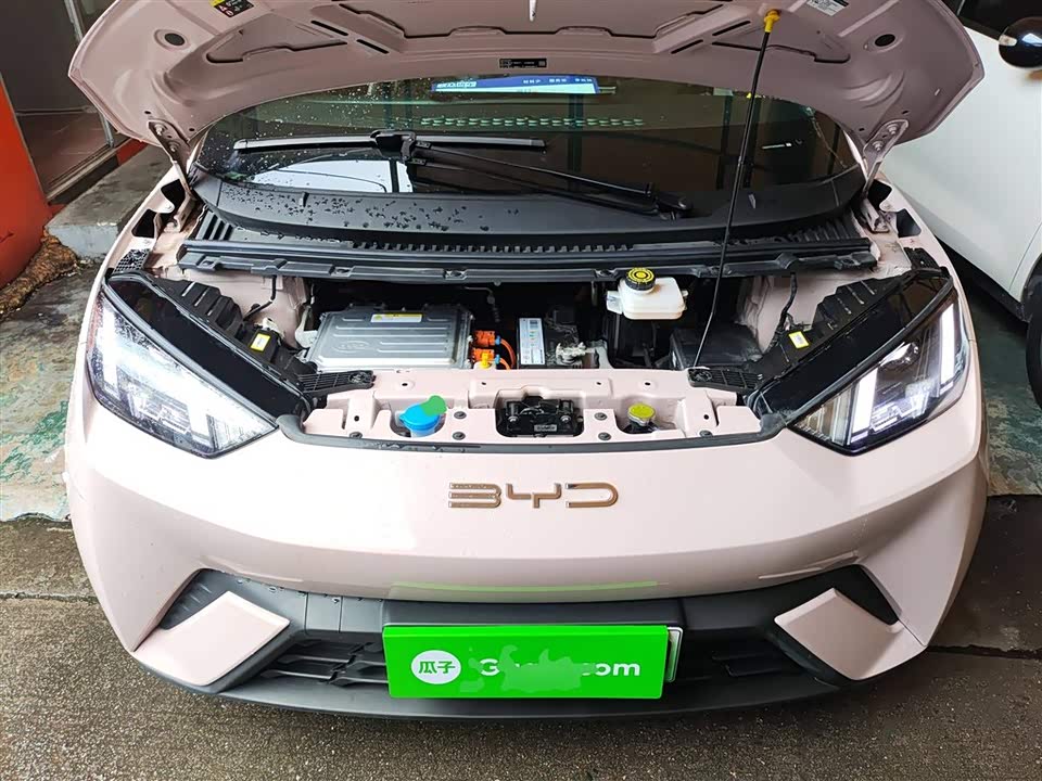 BYD Seagull BYD Seagull