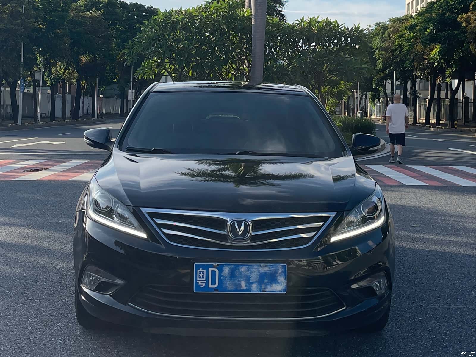 Changan Eado, 2018 2