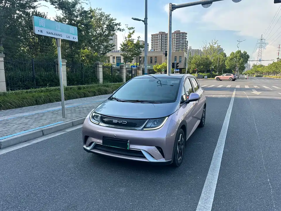 BYD dolphin