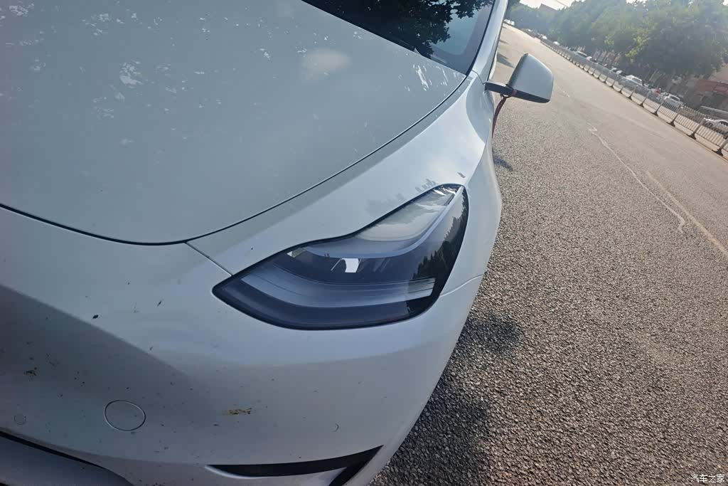 Tesla Model Y, 2024 все фото