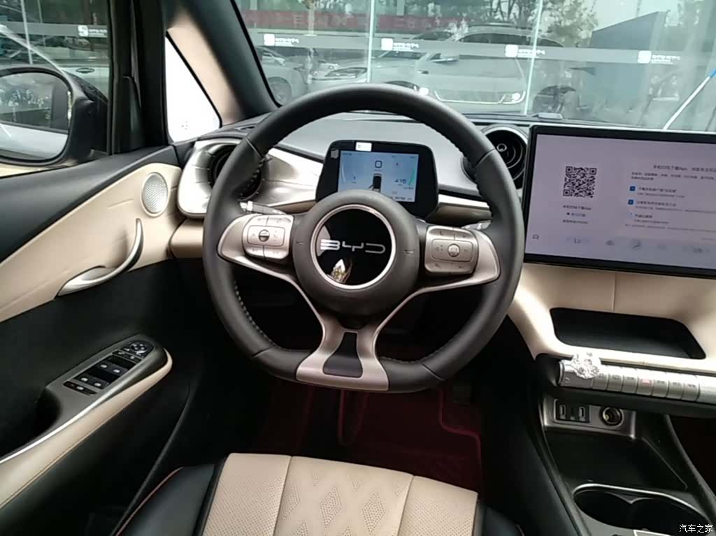 BYD Dolphin, 2024 11