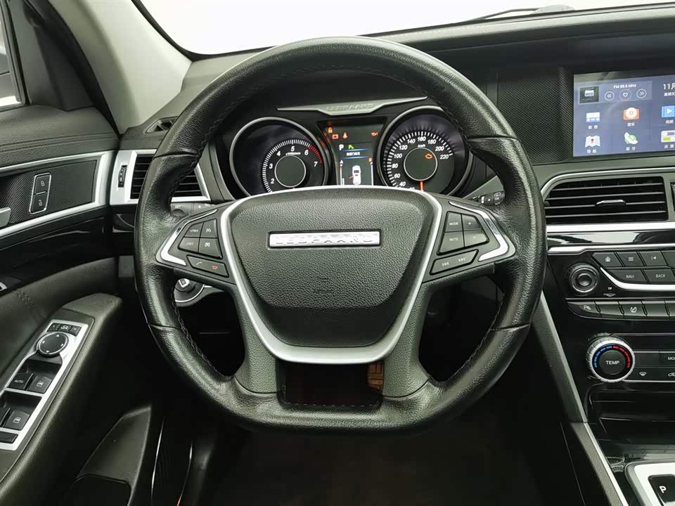 Leopaard Cheetah CS10