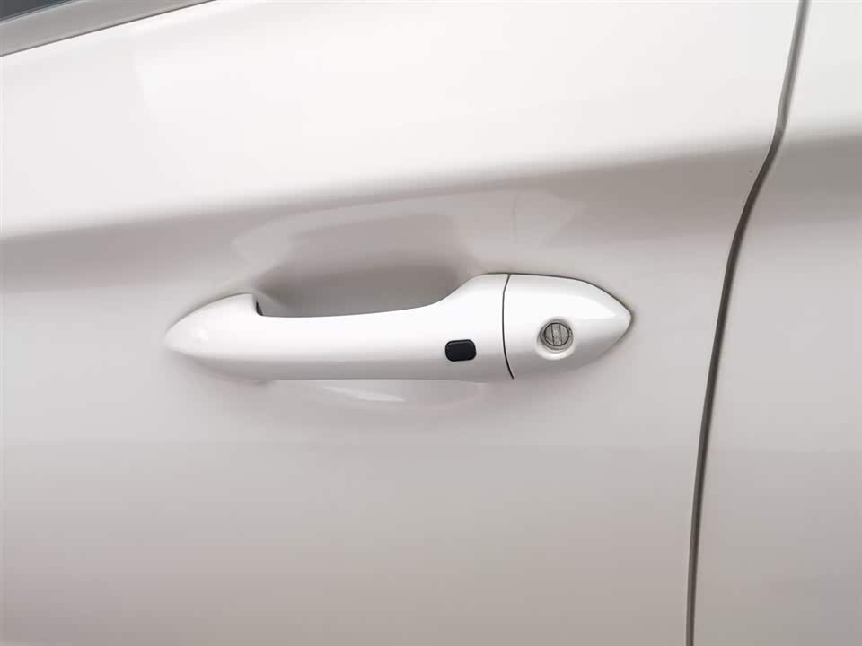 Leopaard Cheetah CS10