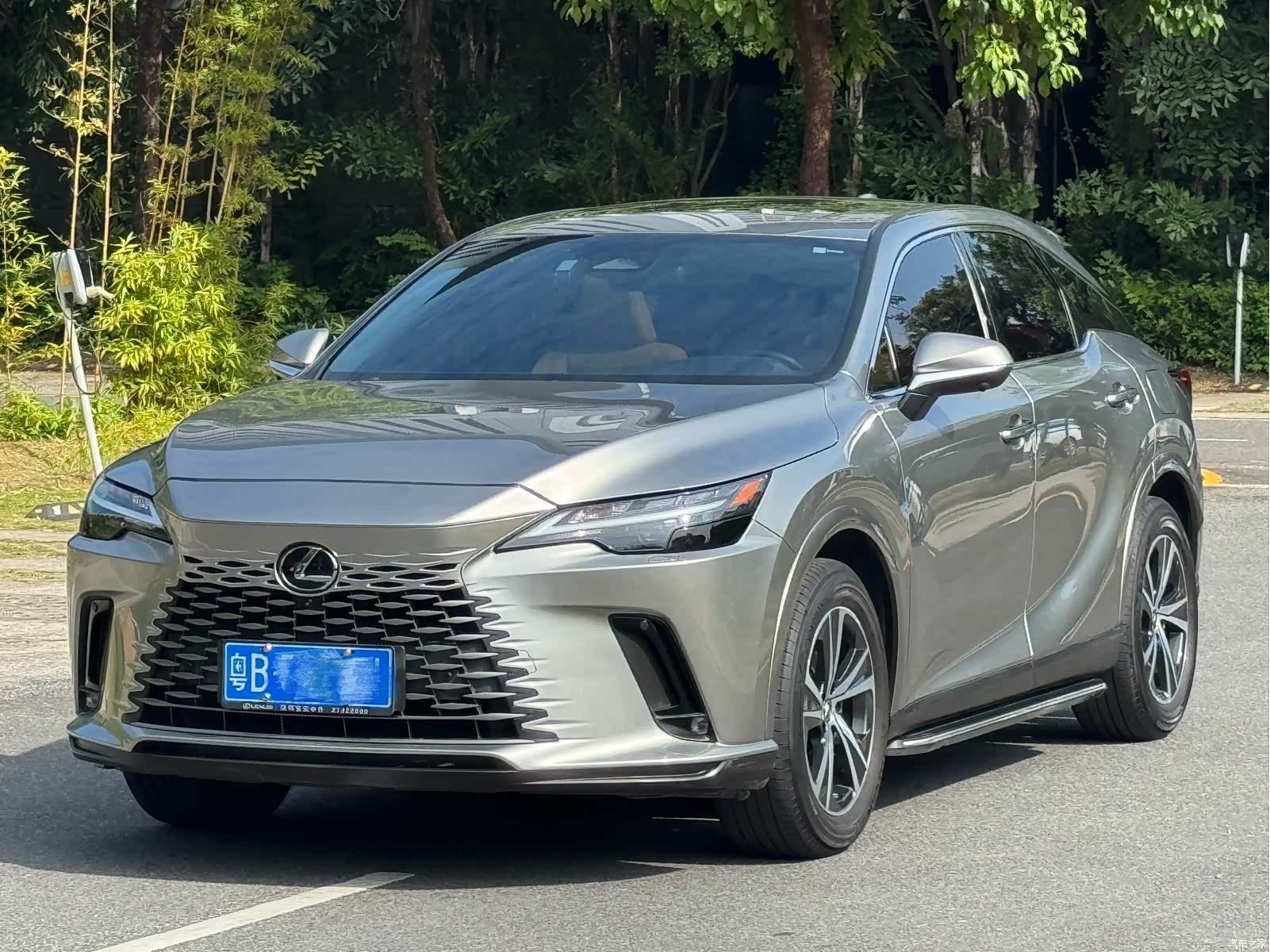 Lexus RX, 2023 1