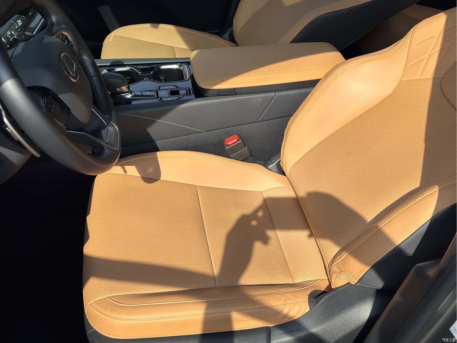 Lexus RX, 2023 9