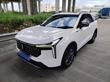����T55 2023�� 1.5T �Զ���Ծ��