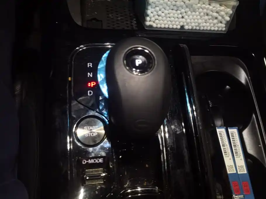 Trumpchi Trumpchi E9