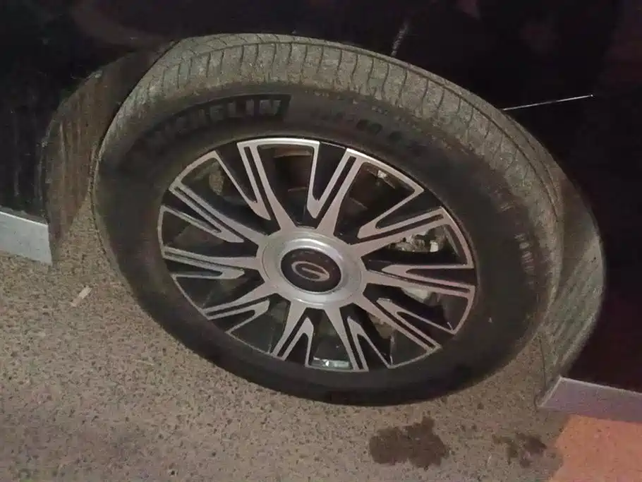 Trumpchi Trumpchi E9