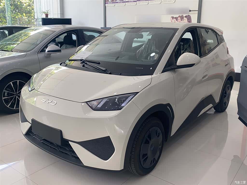 BYD Seagull, 2026 1