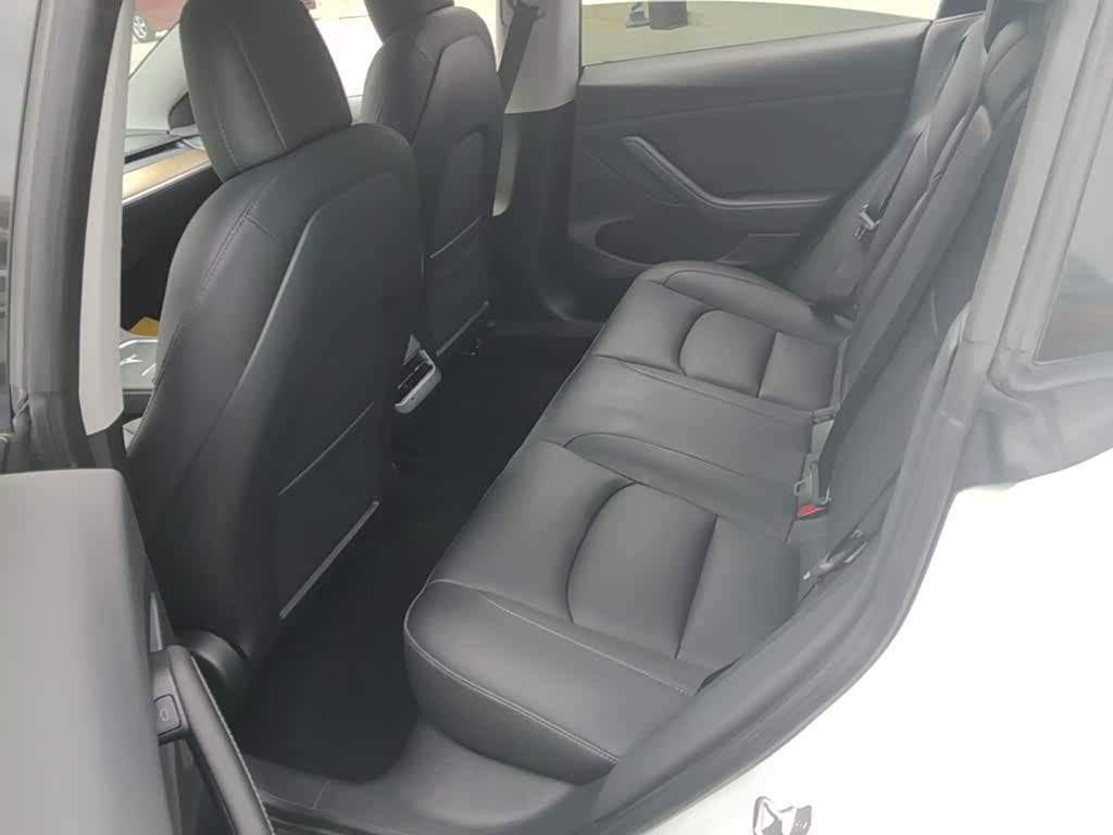 Tesla Model 3, 2021 17