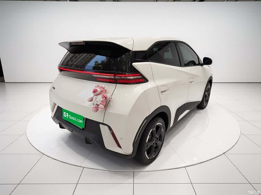 BYD Seagull, 2023 4