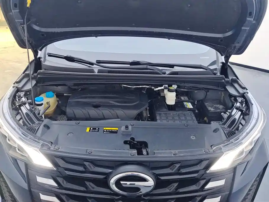 Trumpchi Trumpchi M6