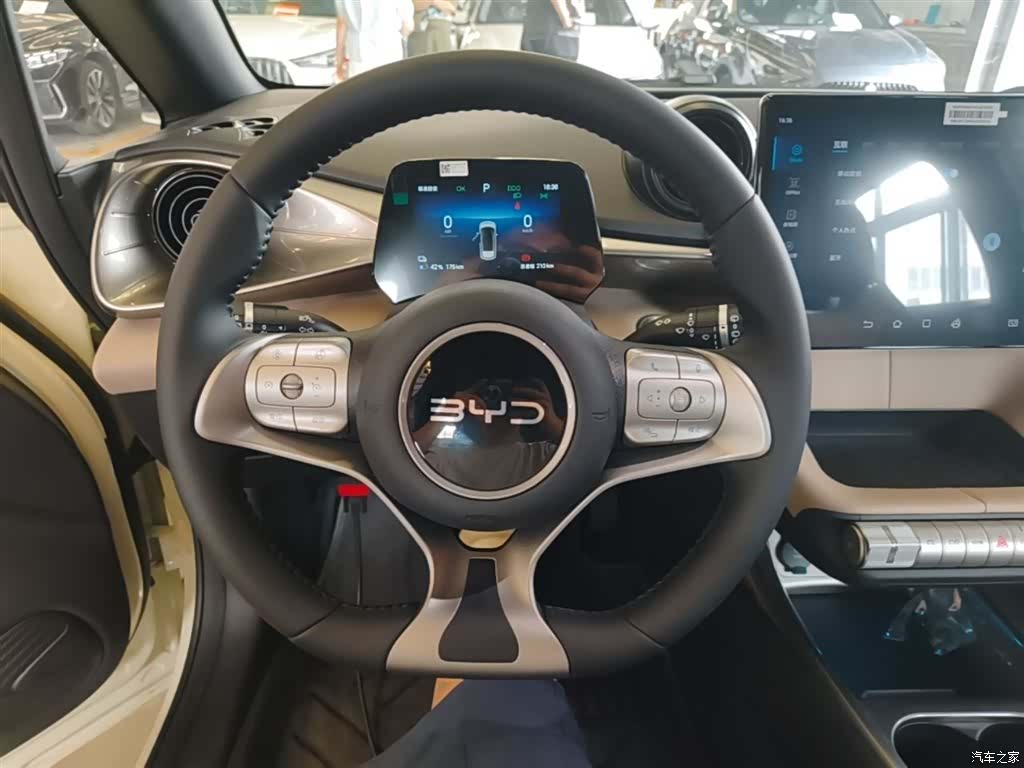BYD Dolphin, 2026 11