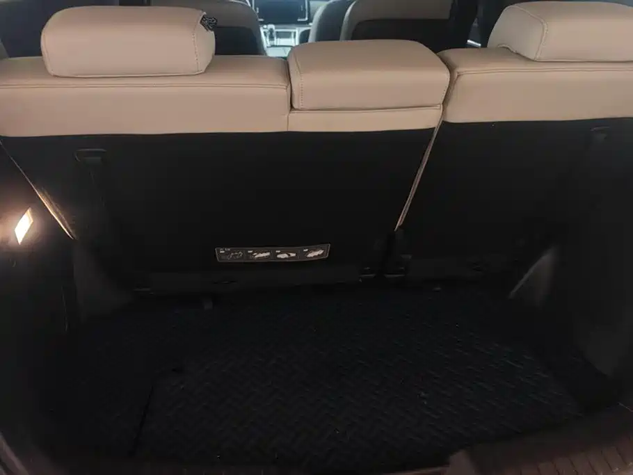 Trumpchi Trumpchi M8