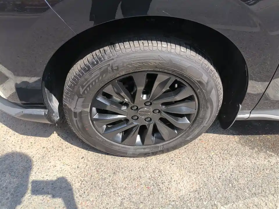 Forthing Popular T5 EVO