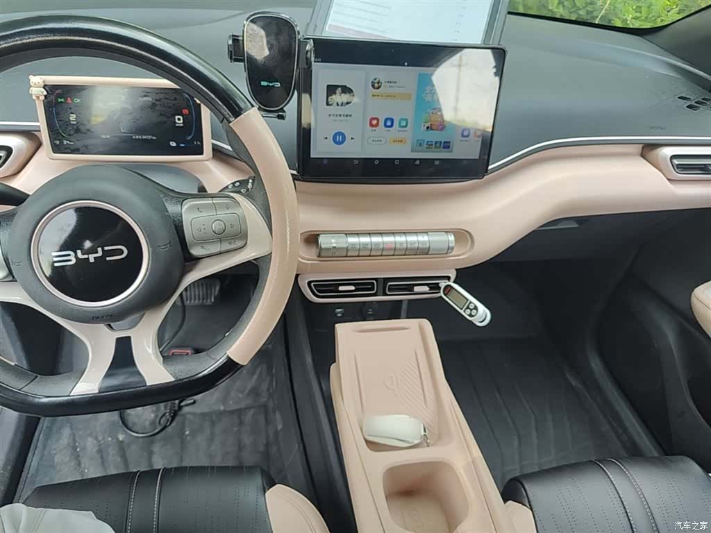 BYD Seagull, 2024 10