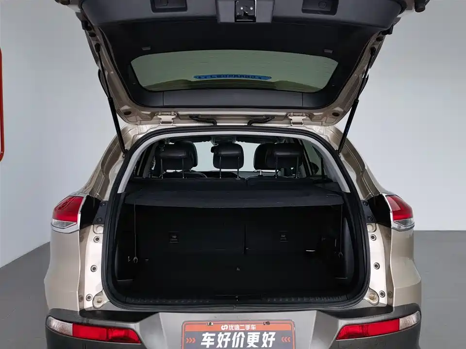 Leopaard Cheetah CS10