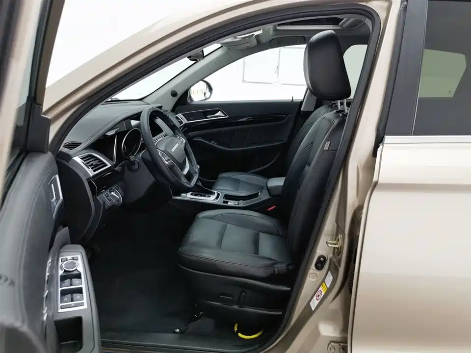 Leopaard Cheetah CS10