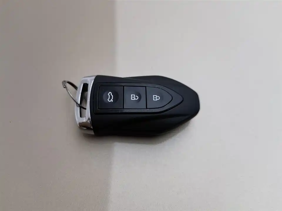 Leopaard Cheetah CS10