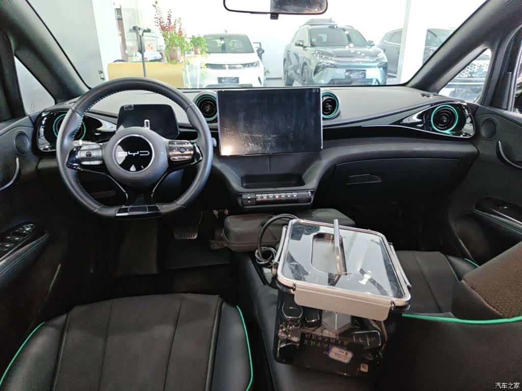 BYD Dolphin, 2024 10