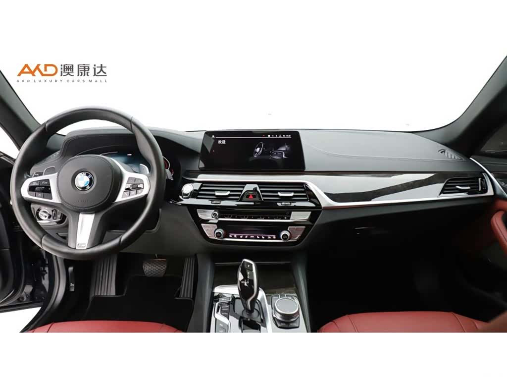 BMW 5 Series, 2020 все фото