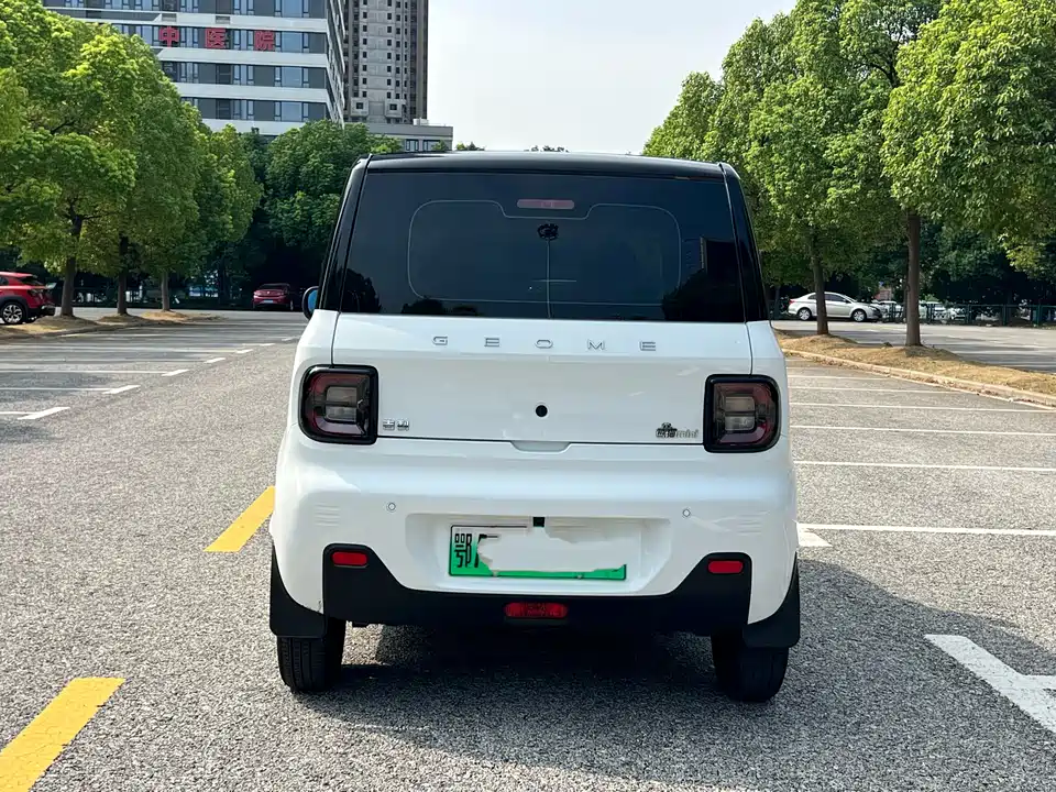 Geely Galaxy panda