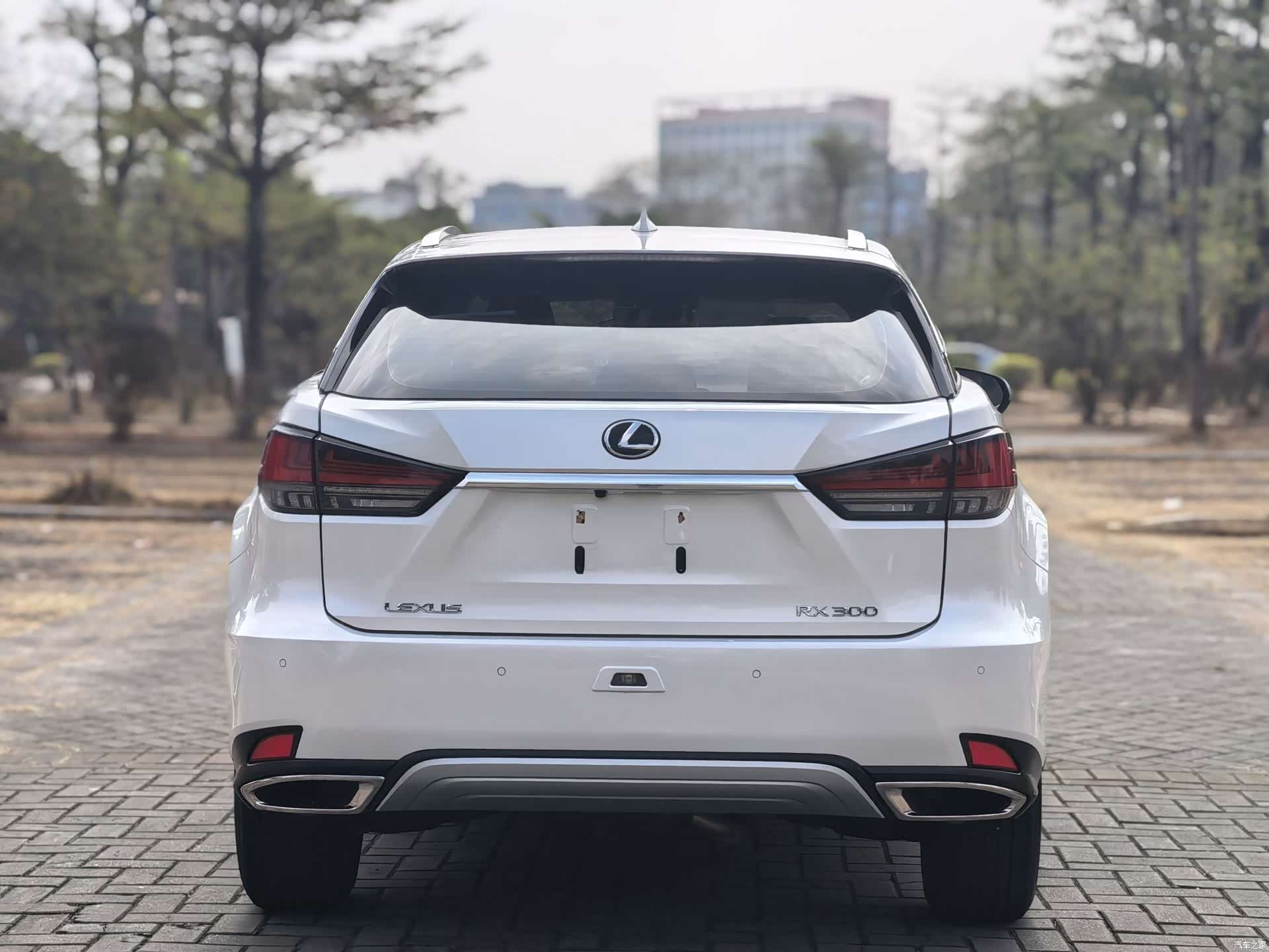 Lexus RX, 2019 все фото