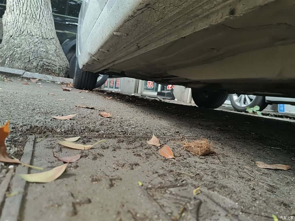 Chevrolet 320, 2018 20