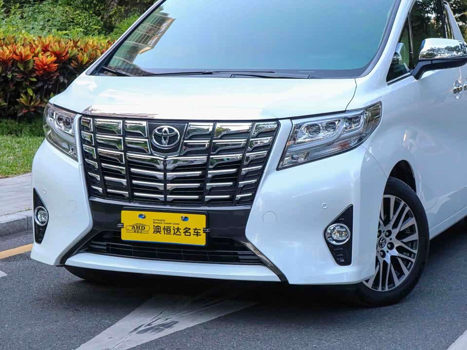 Toyota Elfa