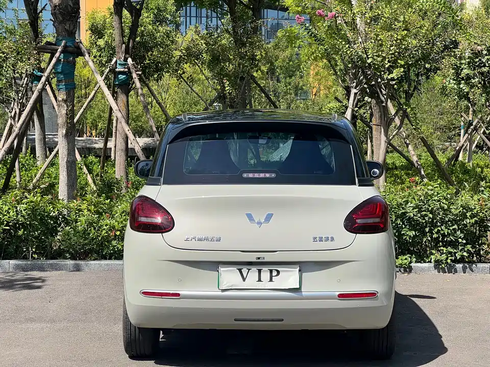 Wuling Wuling Bingguo