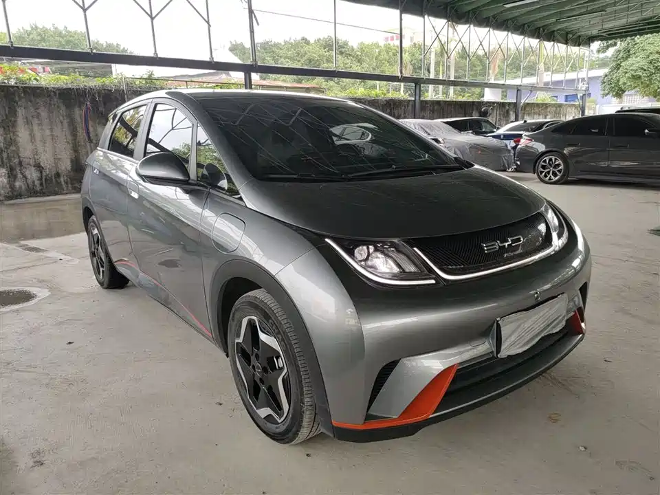 BYD dolphin