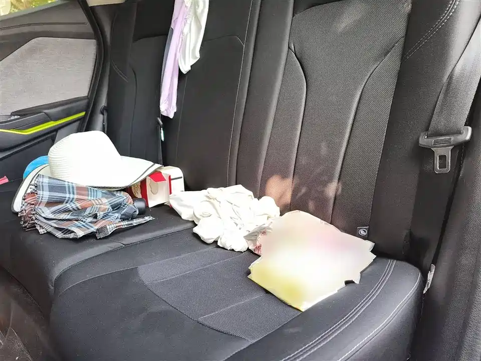 Changan New energy E-Pro