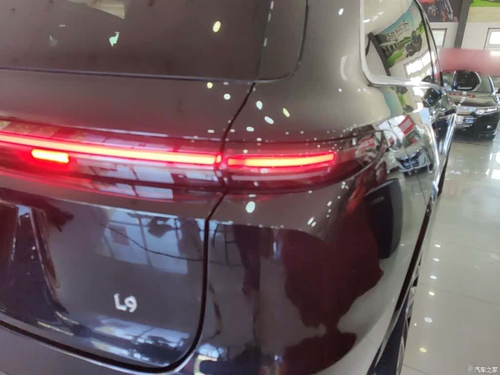 Li Auto L9, 2024 8