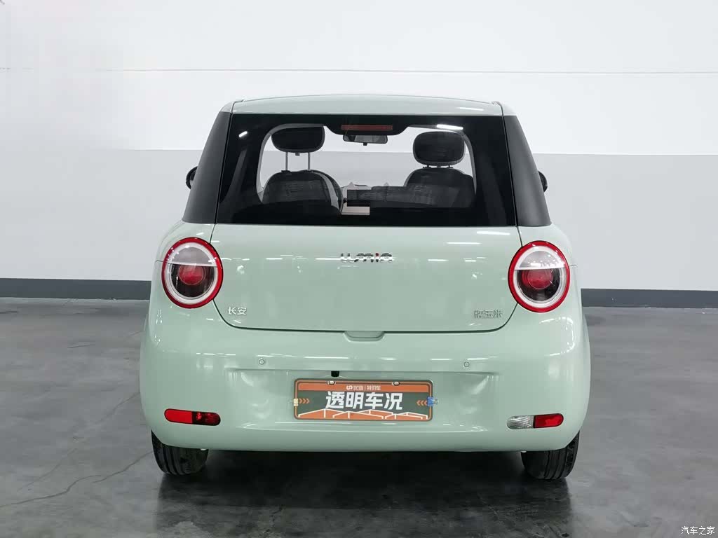 Changan Lumin, 2023 4